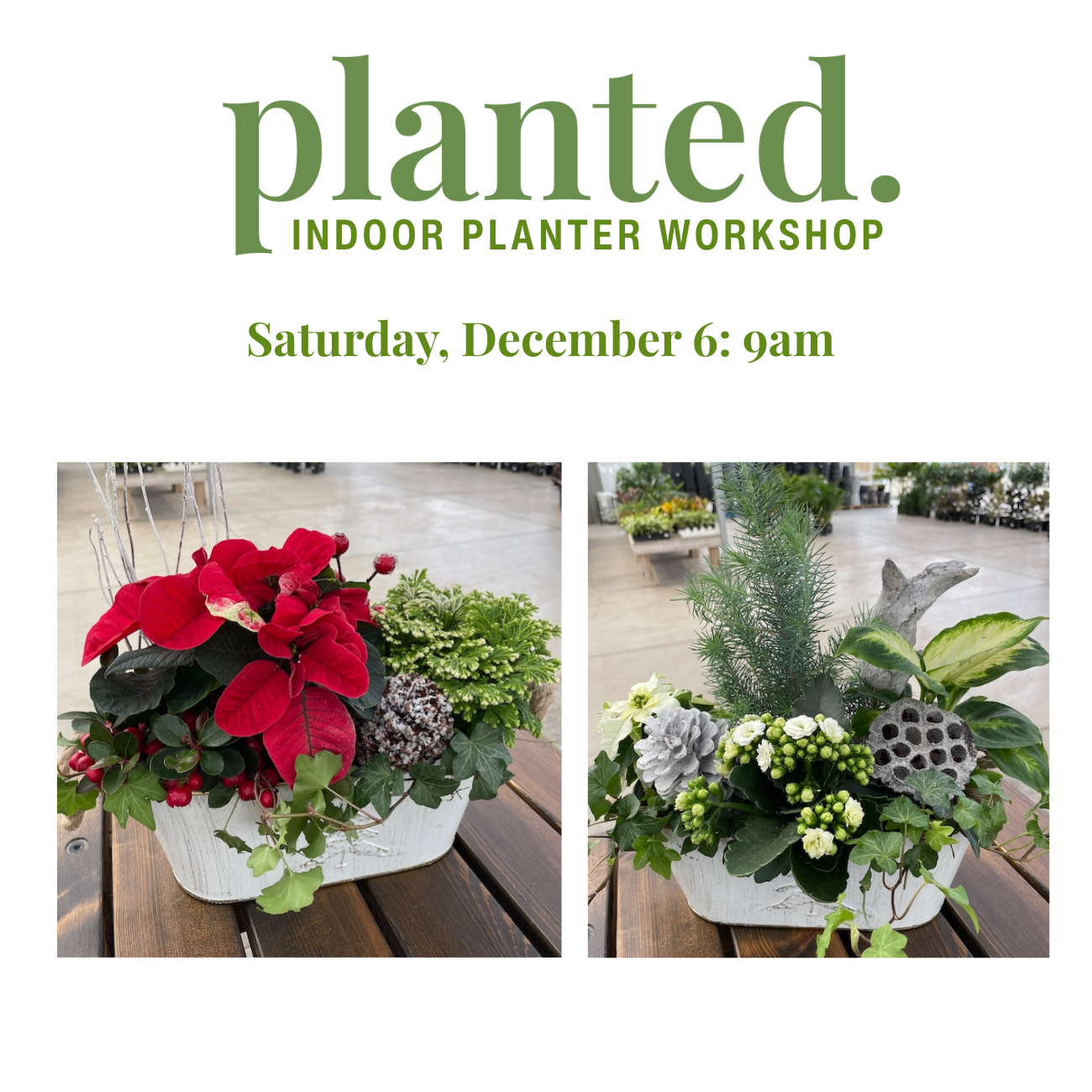 Indoor Winter Arrangement Workshop Dec 6: 9am