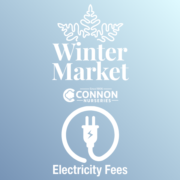 Electricity Fees Winter Market