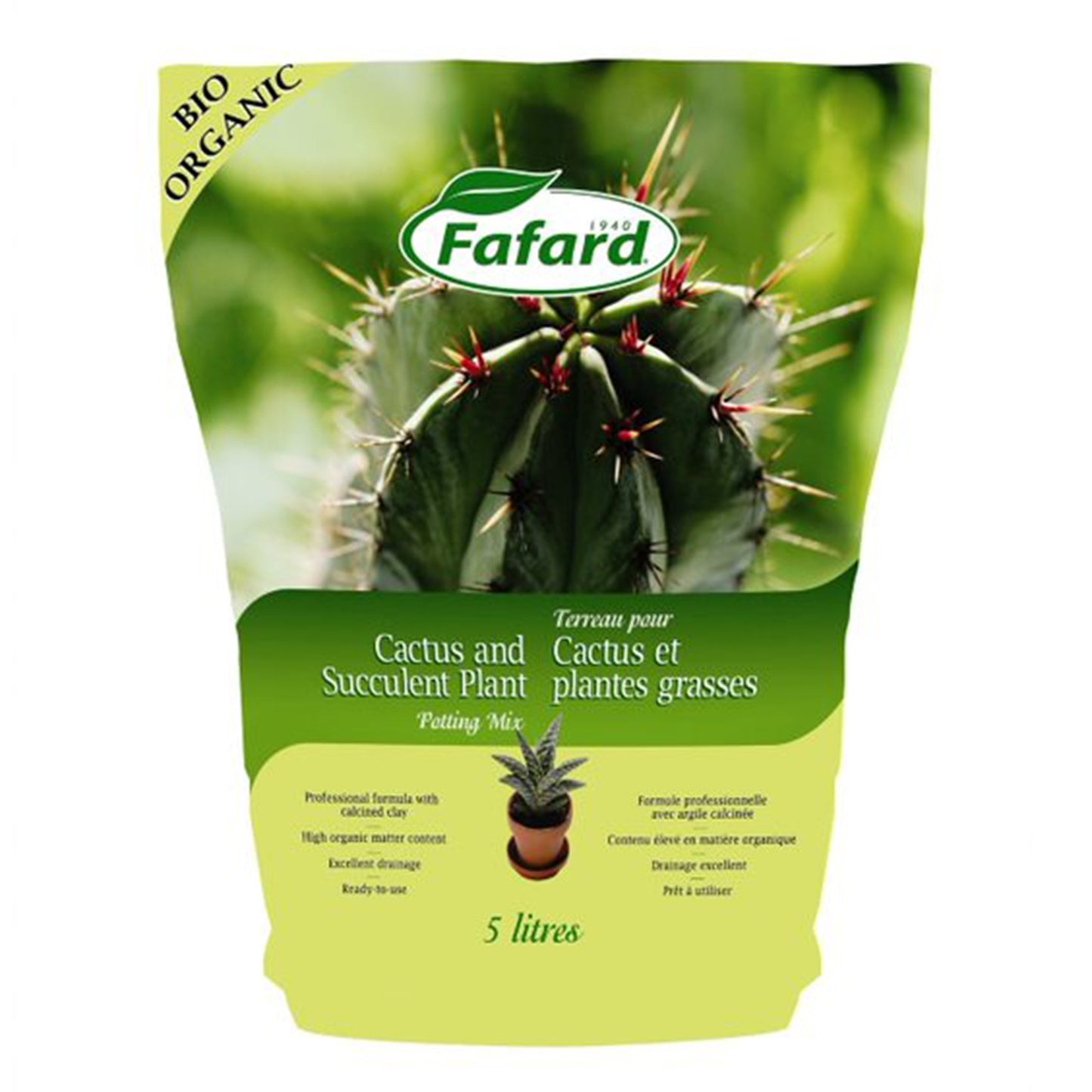 Cactus and Succulent Potting Mix