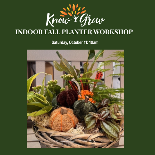 Know + Grow Fall Indoor Planter Workshop