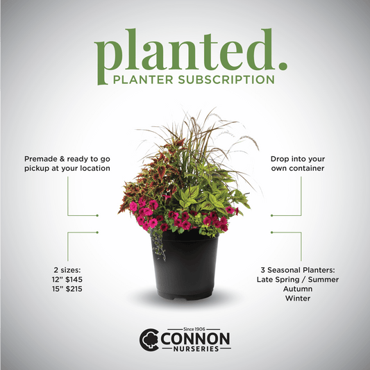 Planted. Planter Subscription