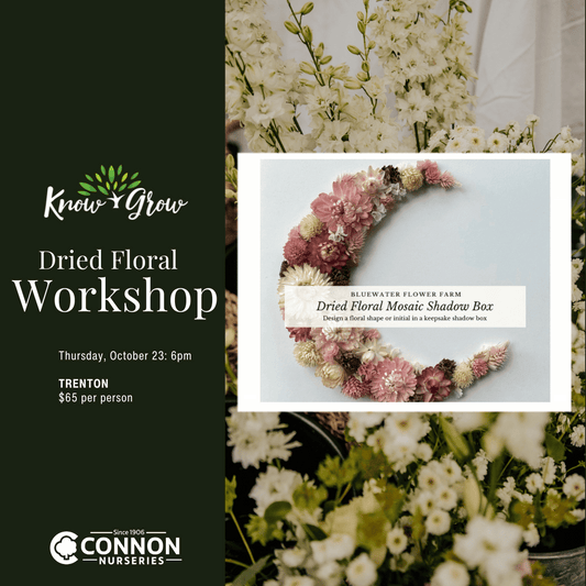 Know + Grow Dried Floral Workshop -TRENTON