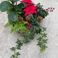 Waterdown Indoor Arrangement Workshop Dec 14, 1pm