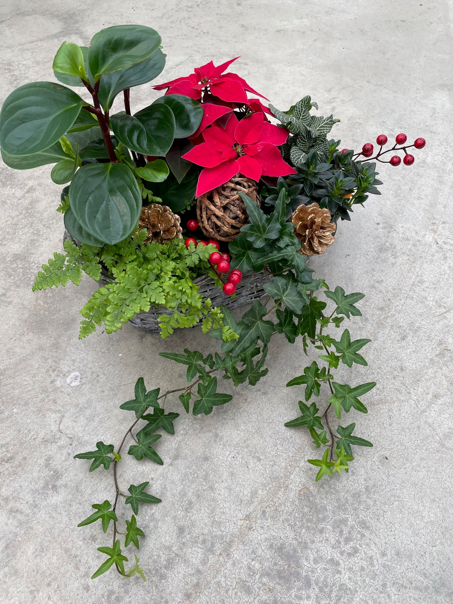 Waterdown Indoor Arrangement Workshop Dec 14, 1pm