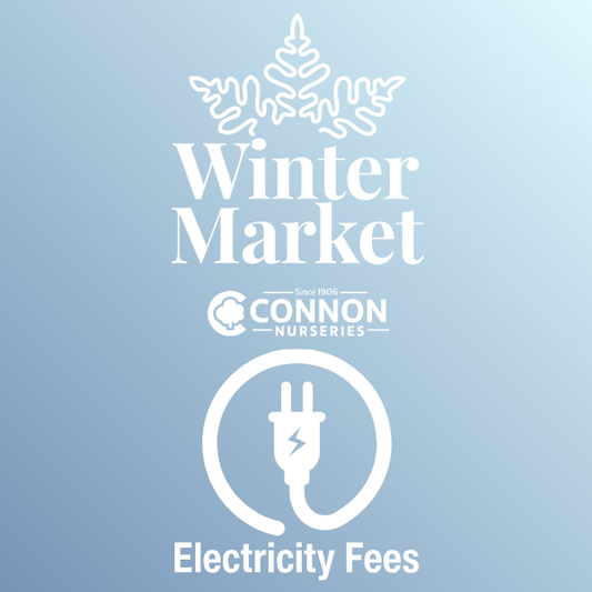Electricity Fees Winter Market