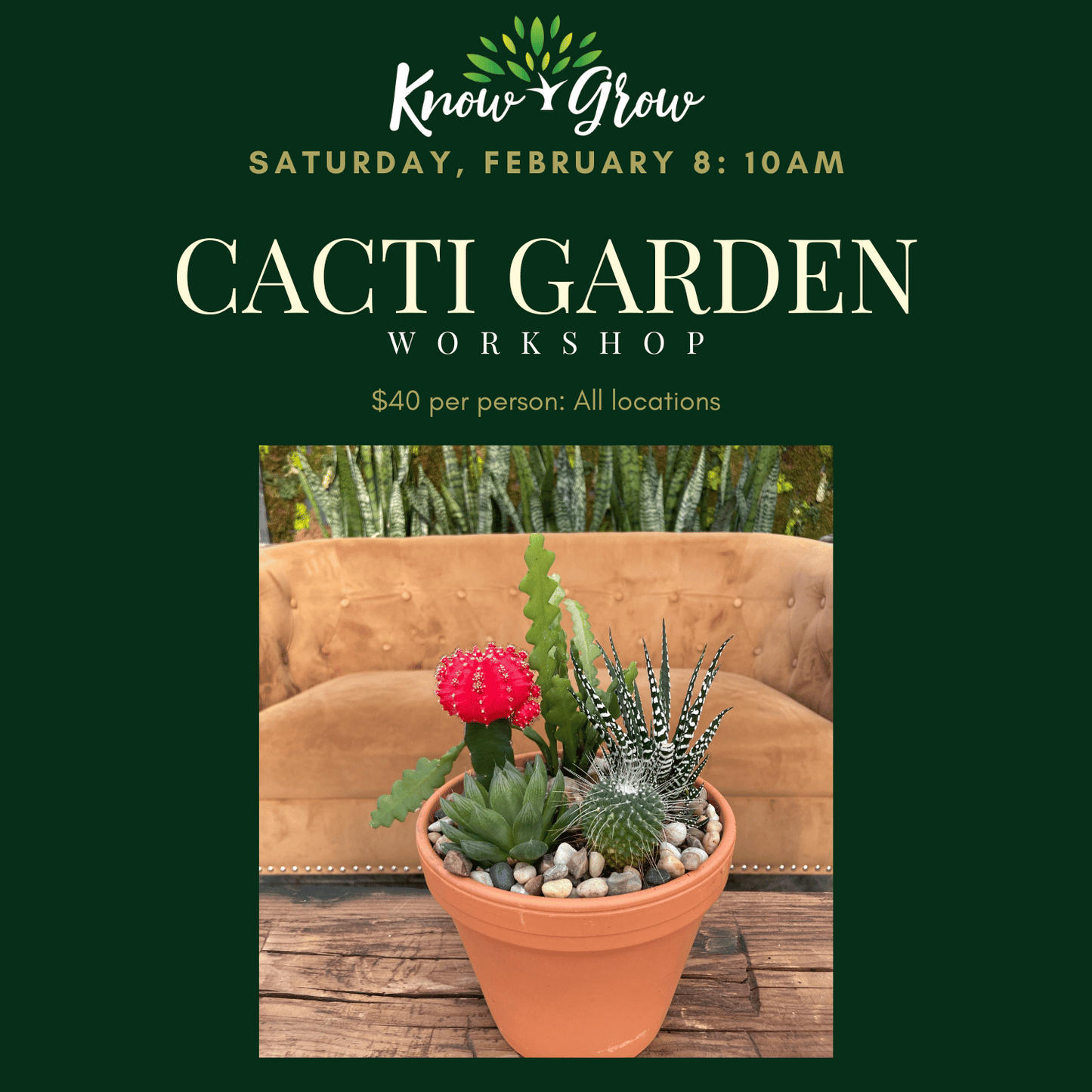 Know + Grow Cacti Garden Workshop: February 8