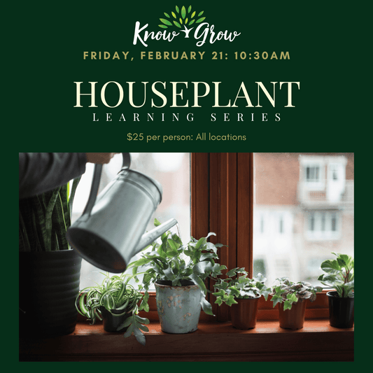 Know + Grow Houseplant Learning Series February 21