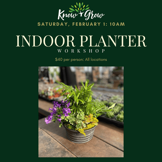 Know + Grow Indoor Houseplant Planter Workshop: February 1