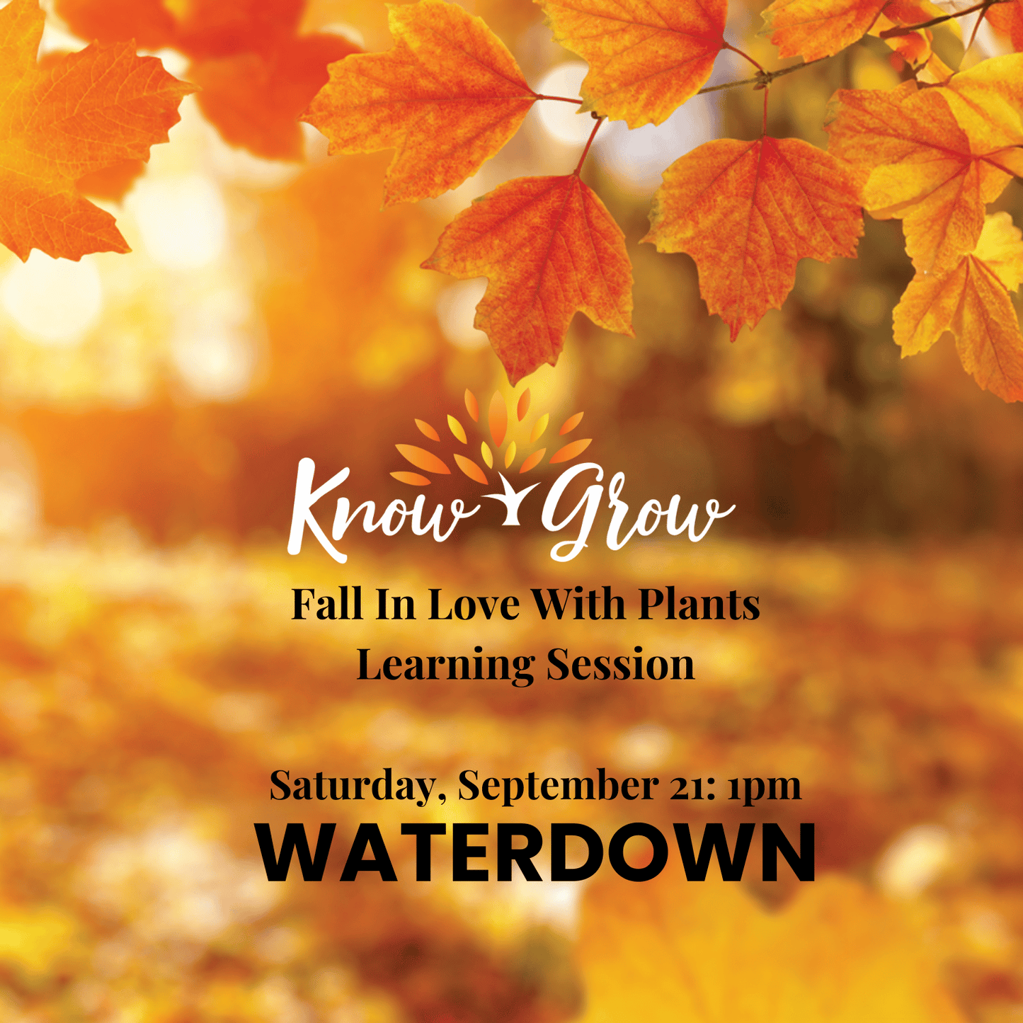 Know + Grow Fall in Love With Plants Waterdown