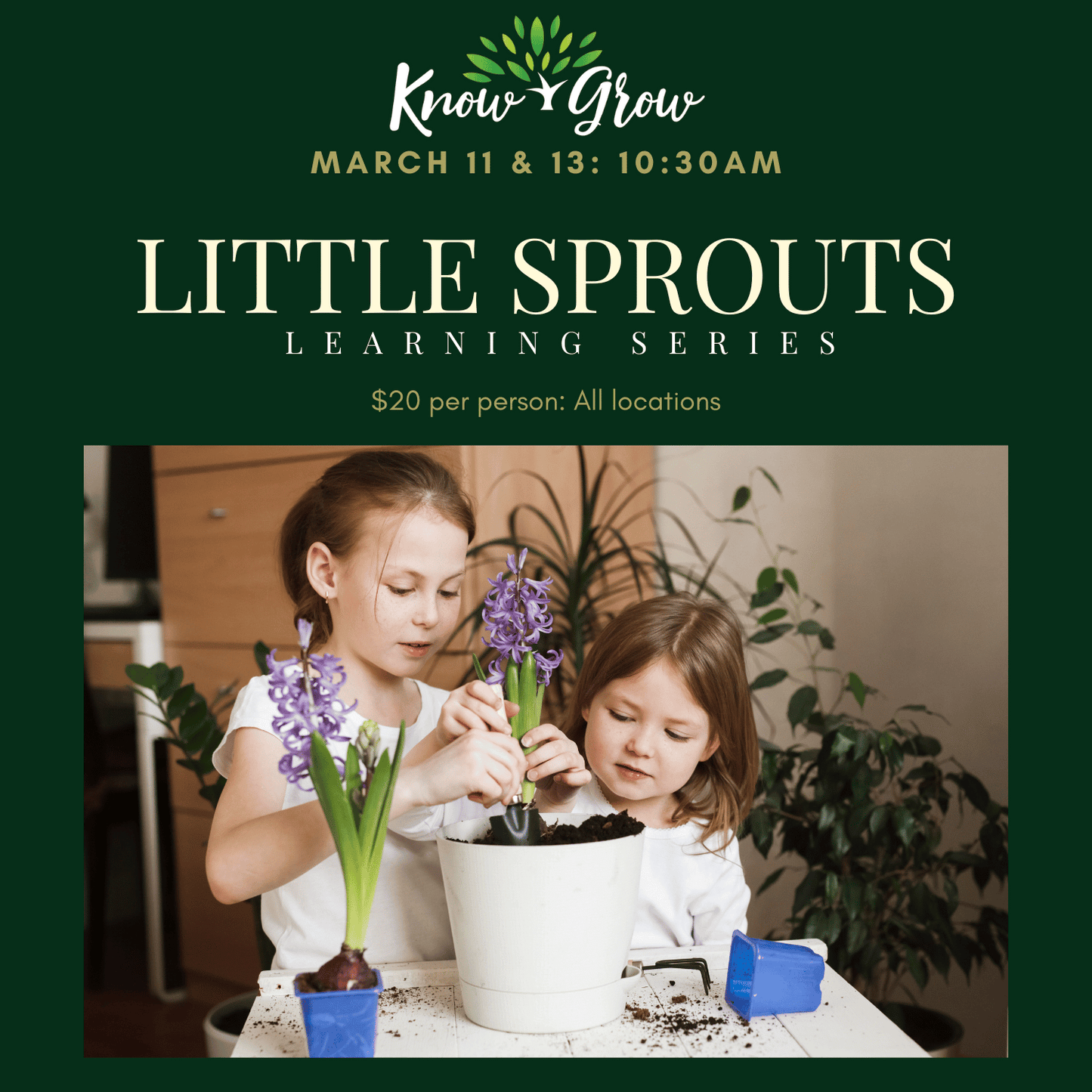 Little Sprouts March Break Learning Series