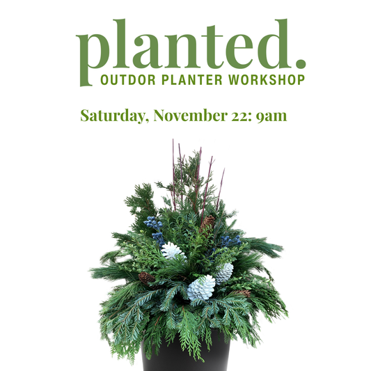 Outdoor Winter Arrangement Workshop Nov 22, 9am