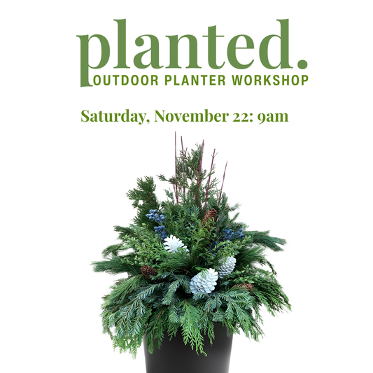 Outdoor Winter Arrangement Workshop Nov 22, 9am