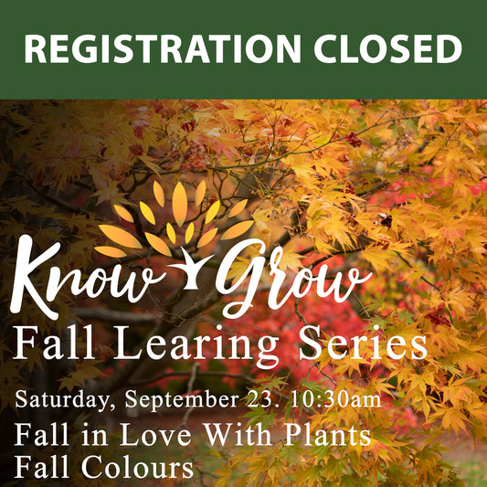 Fall in Love With Plants: Fall Colours Newmarket
