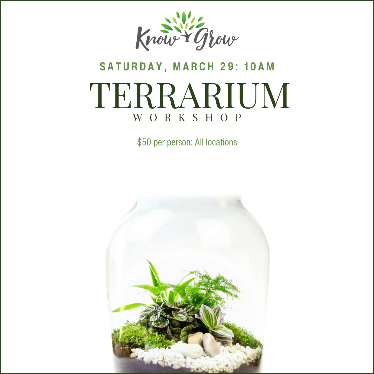 Know + Grow Terrarium Workshop: March 29