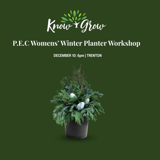 PRIVATE EVENT: Know + Grow Outdoor Winter Planter Workshop- Trenton